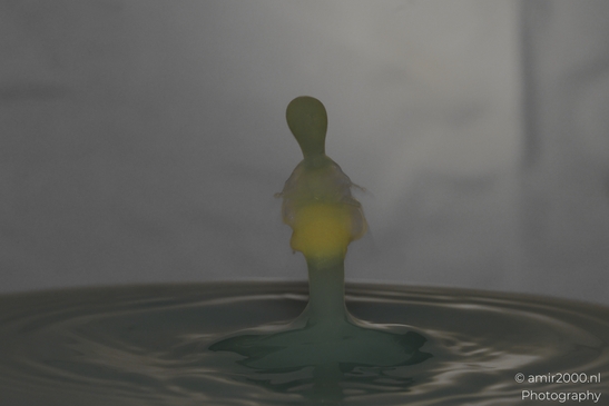 Water drops creatively collide in a series of vibrant yellow hues in Water Drops Creative - image from year 2025 #014