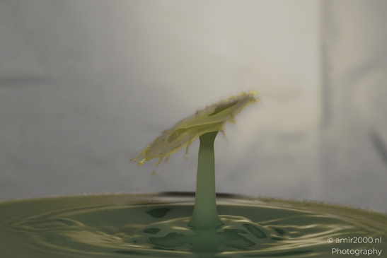 Water drops creatively collide in a yellow series, forming an umbrella-like structure in Water - image from year 2025 #016