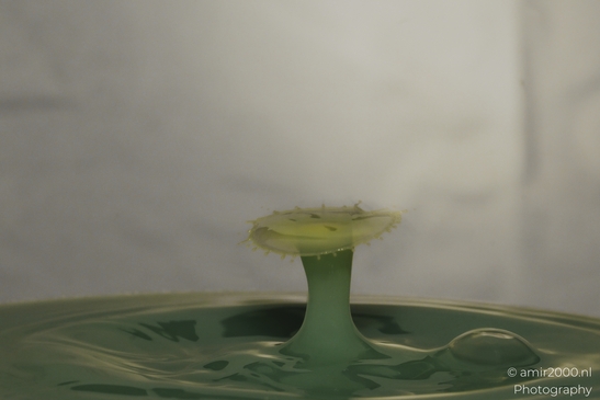 Water droplet dance in a yellow cup in Water Drops Creative Series. . - image from year 2025 #017