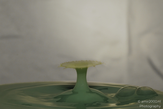 Water drops creatively collide in a vibrant yellow series in Water Drops Creative Series. . - image from year 2025 #018