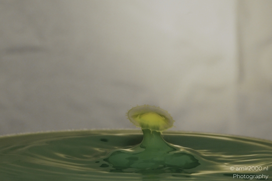 Water drops creative series: yellow dancing droplet collision. . - image from year 2025 #019