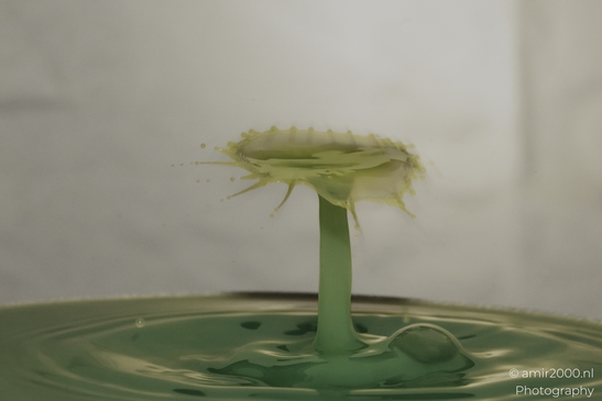 Water drops creatively collide in a yellow series, capturing a single drop's dance with its - image from year 2025 #020