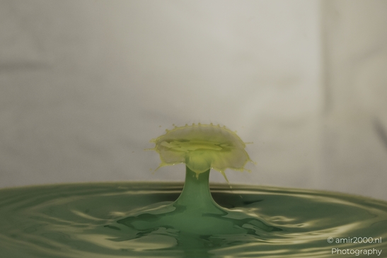 Water drops creatively collide in a series of yellow and green hues, capturing the essence of - image from year 2025 #022