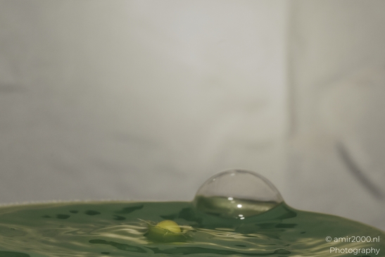 Water drops in a creative series, with yellow hues and a dynamic composition in Water Drops - image from year 2025 #026