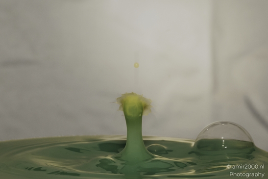 Water drops creatively collide in a yellow series, creating an artistic splash in Water Drops - image from year 2025 #028