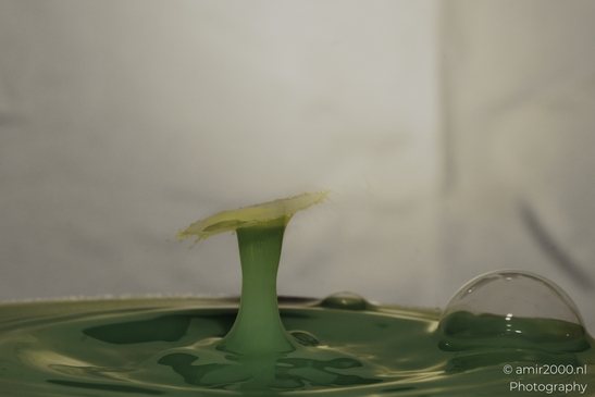 Water drops creatively collide in a yellow series, forming an artistic splash in Water Drops - image from year 2025 #029