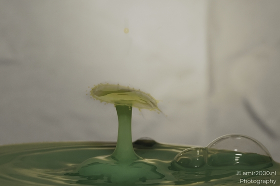 Water drops creative series: dancing droplets in a yellow liquid, capturing the artistry of - image from year 2025 #030