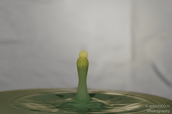 Water drops creatively collide in a yellow-toned series, capturing a moment of artistic splash - image from year 2025 #036