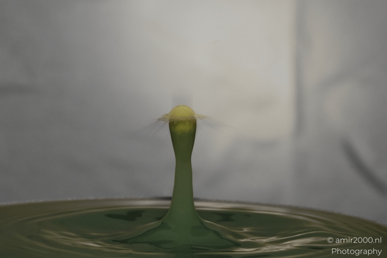 Water drops creatively collide in a yellow liquid, forming an intriguing pattern in Water Drops - image from year 2025 #038