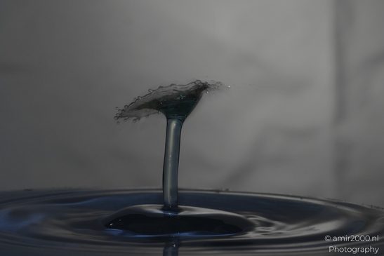 This image captures a moment of artistic expression through water droplets. The main subject is - image from year 2025 #031
