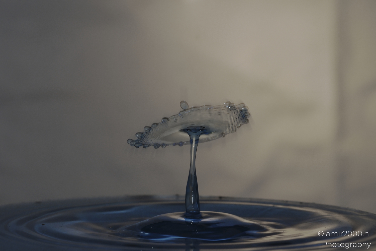 Delicate crown edge with fine spikes, cool tones, side lighting, smooth surface ripples