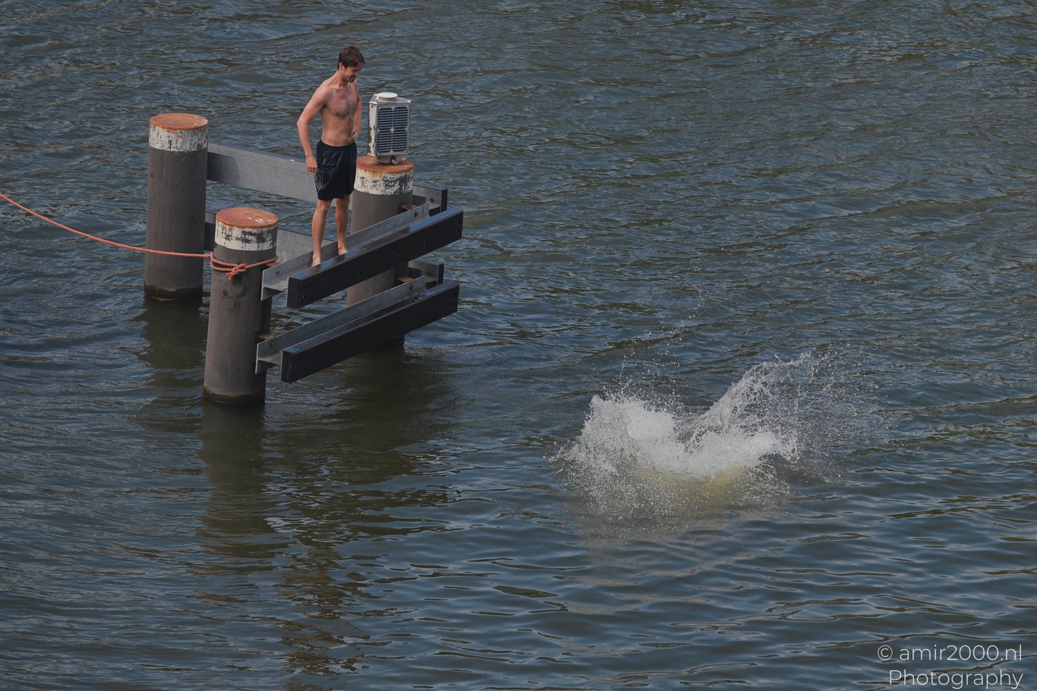 A man leaps from a dock into the water, with a wooden post and a rope in Amsterdam, Netherlands.