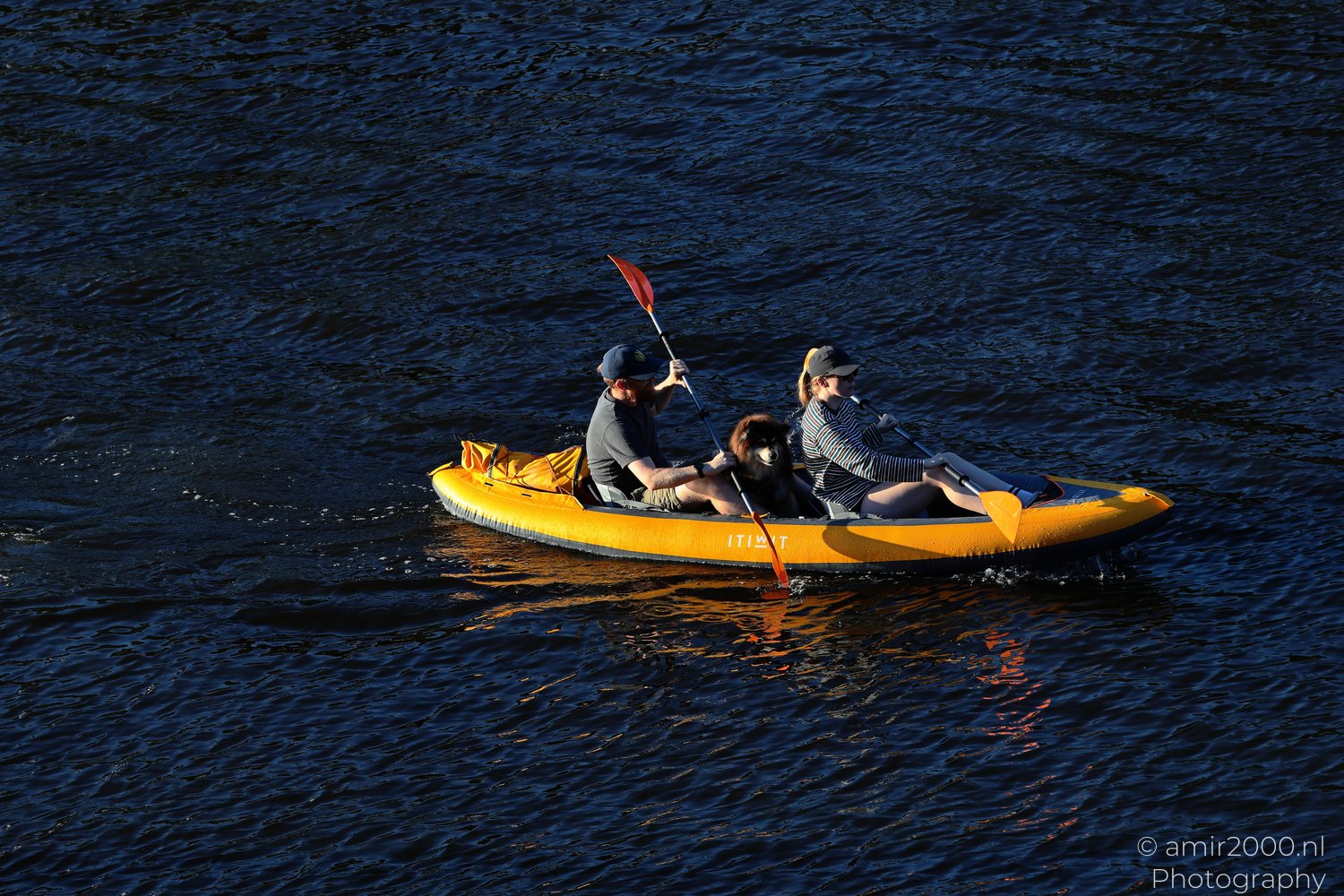 Canal water activity with people paddling kayak with a dog in Amsterdam, Netherlands.