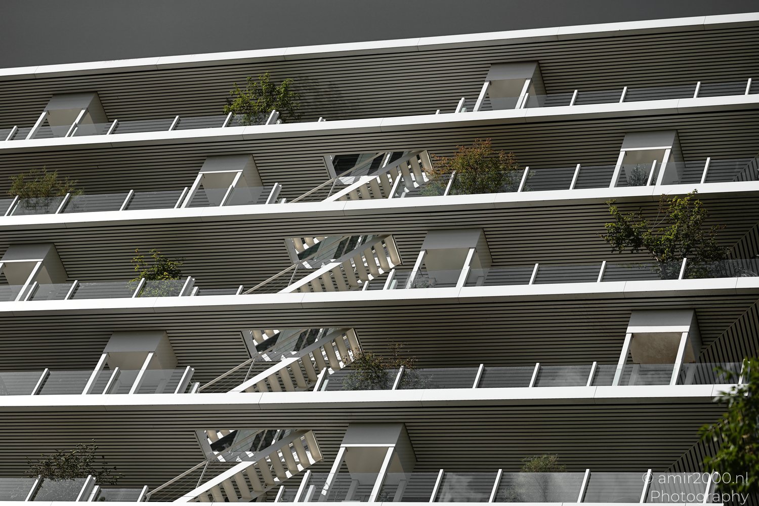 Architecture Photography – Design & Structure | Amir Darzi