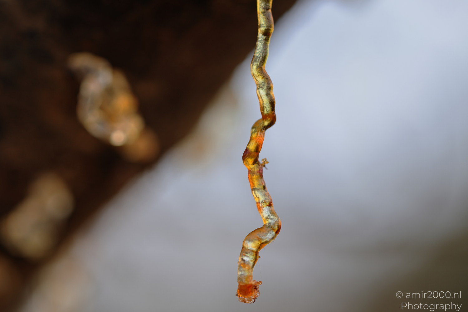 Resin Drawn Into Threads at Ariel Sharon Park