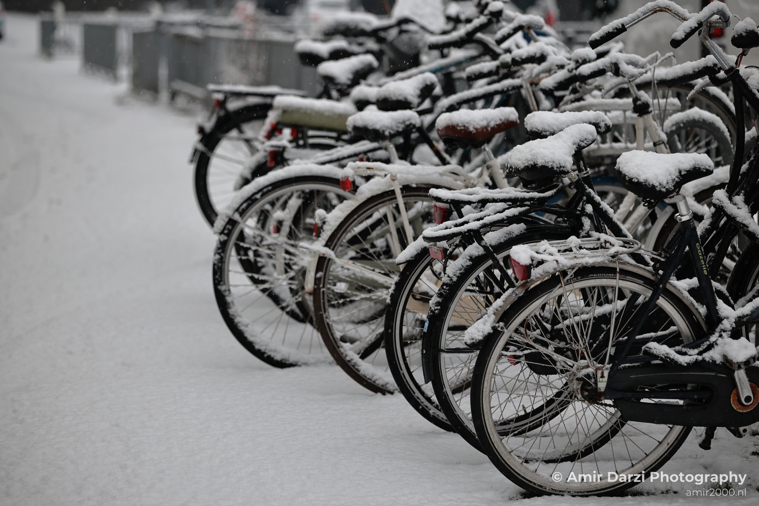 Snow laden bikes lined up against a fence with trees and buildings visible in background.