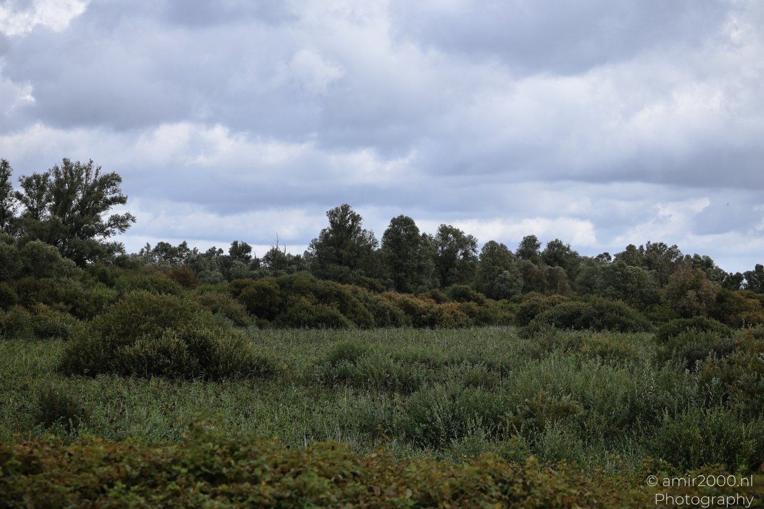 Nature Landscape Photography – Wild Vistas | Amir Darzi