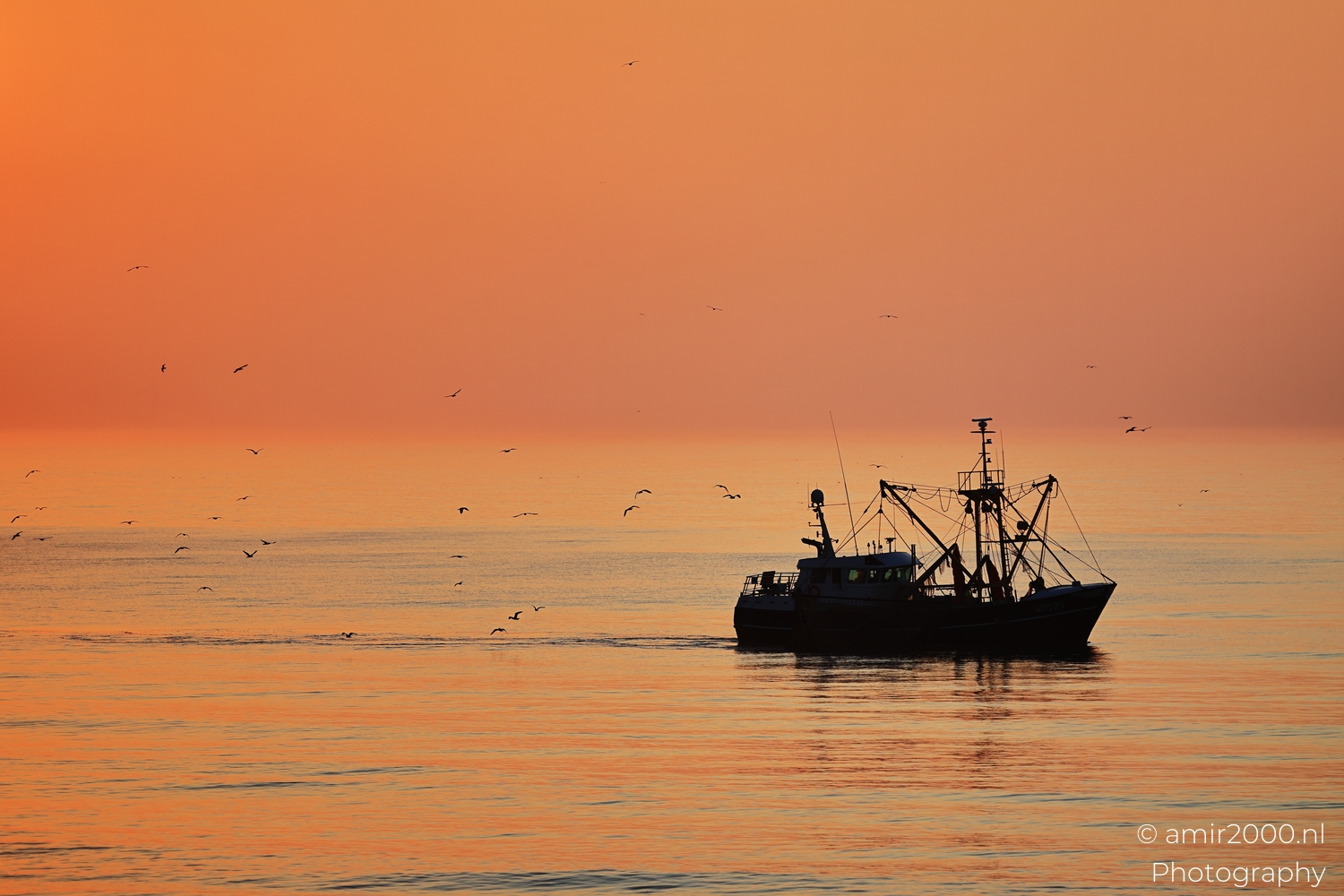Fishing boat sailing with silhouetted gulls at sunset in Zandvoort Netherlands