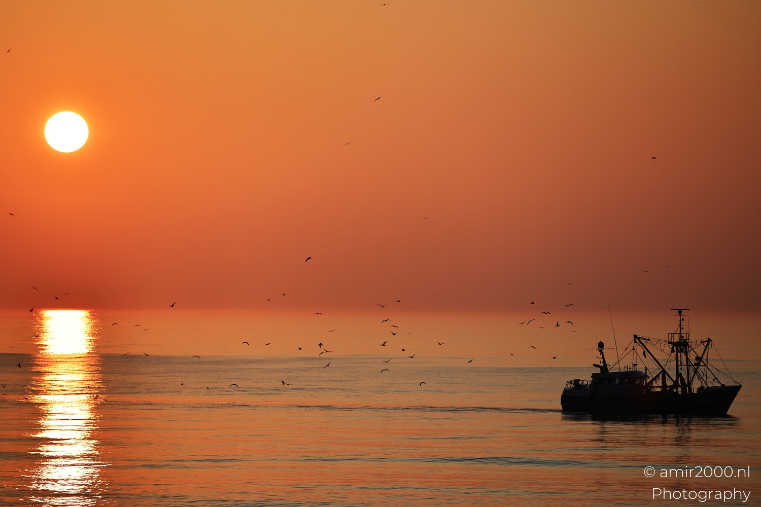 Fishing boat passing gulls and sunset reflection off Zandvoort Netherlands