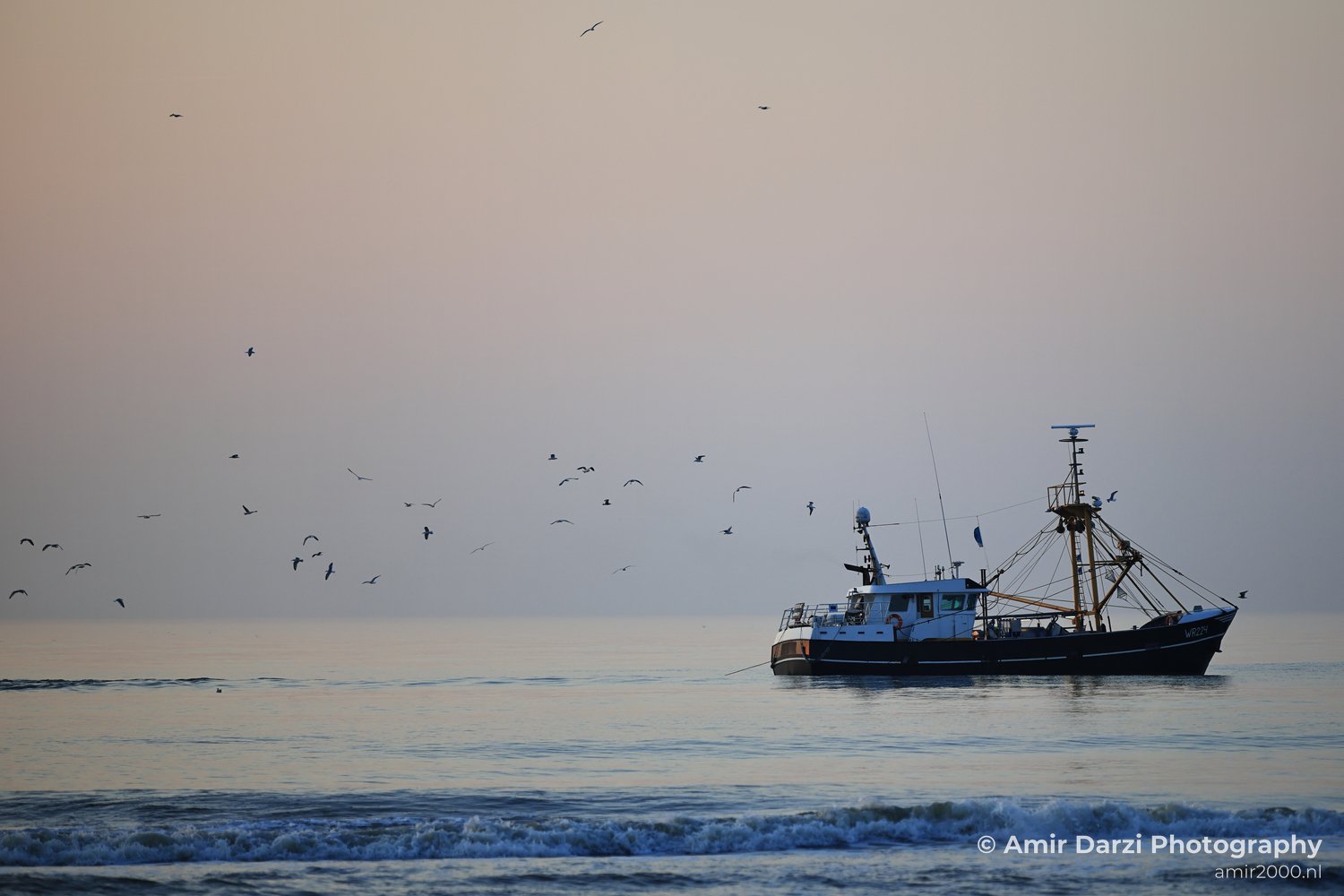 A fishing vessel on the North Sea at dusk, with birds in the sky.
