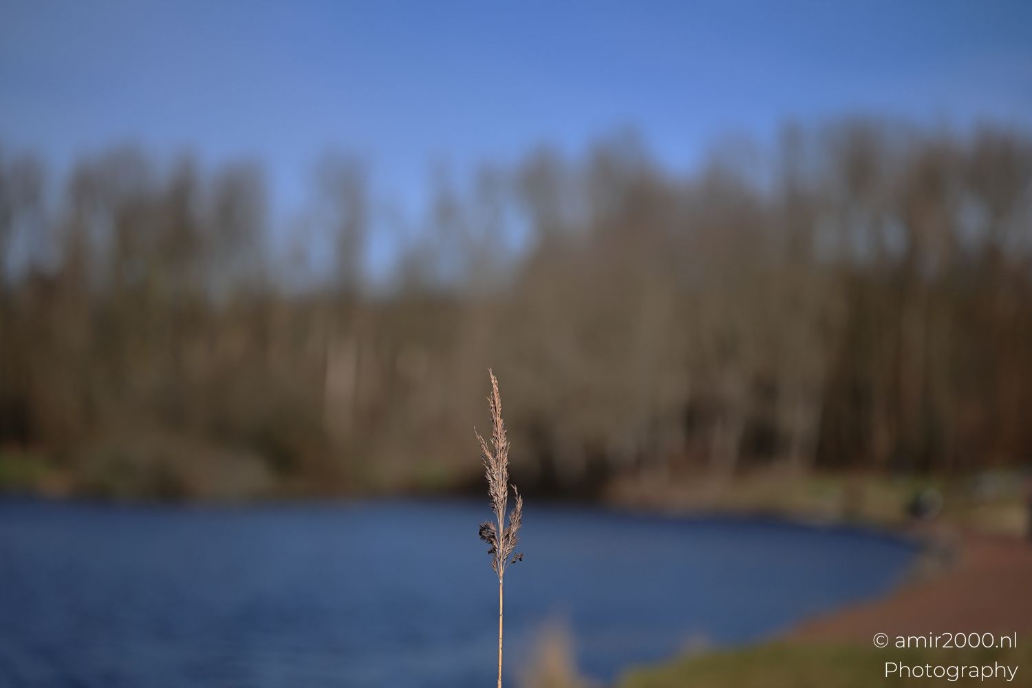 Nature Landscape Photography – Wild Vistas | Amir Darzi