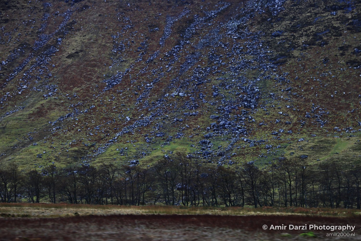 Patches of green vegetation and scattered rocks, bordered by a line of bare trees at its base and a field of dry grass in the foreground, appear with the rugged hillside covered in Scotland United Kingdom.