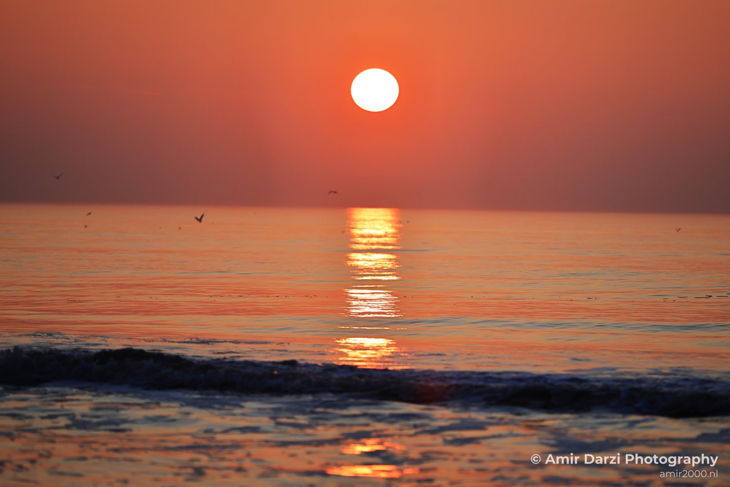 A scene featuring waves alongside reflections, sunset, sky, water and birds.