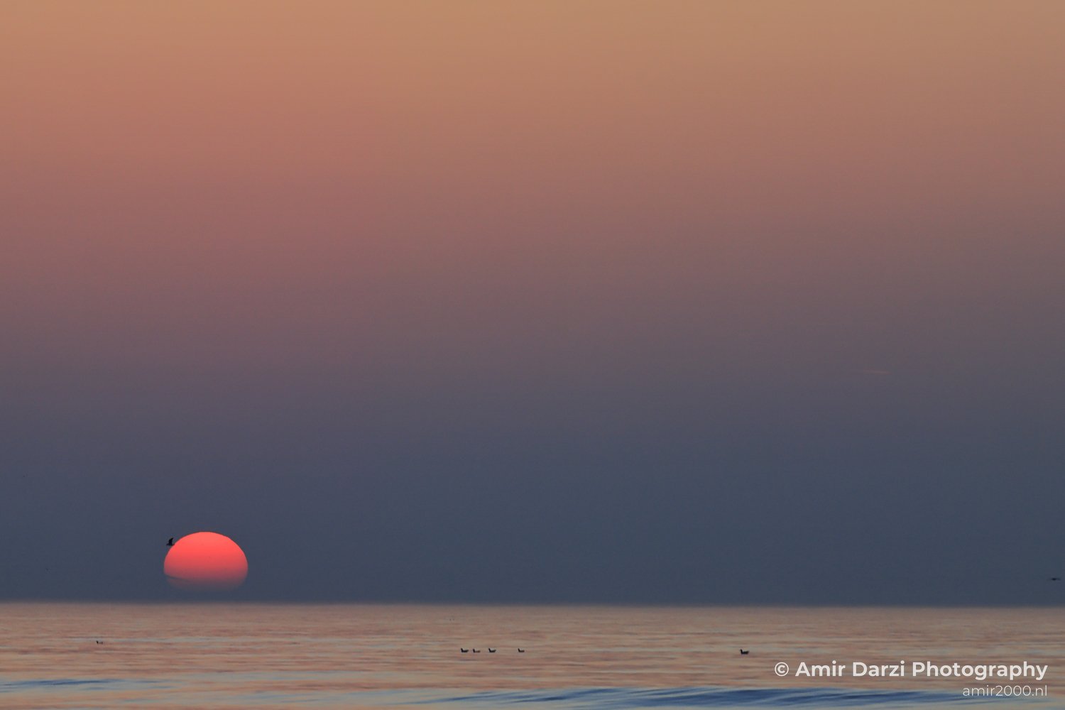 A red sun setting over the North Sea, with a few birds.