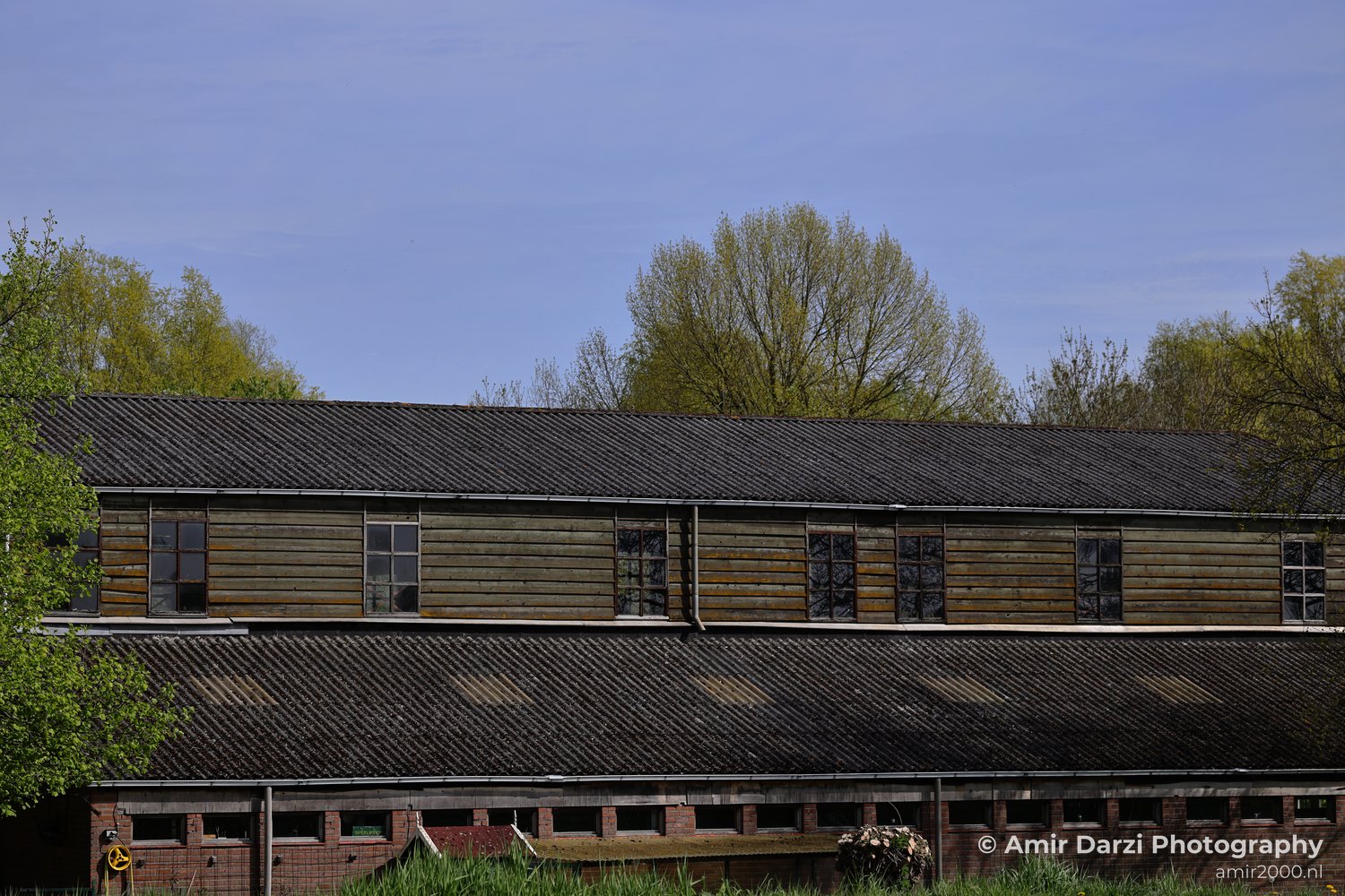 Spring Scenery rustic wooden structure with corrugated metal roofing amidst greenery under clear blue skies.