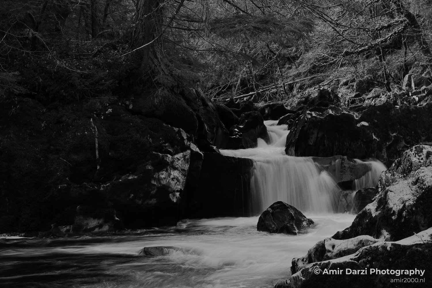 Rocks surrounded by trees and foliage includes the black and white image of a waterfall cascading.