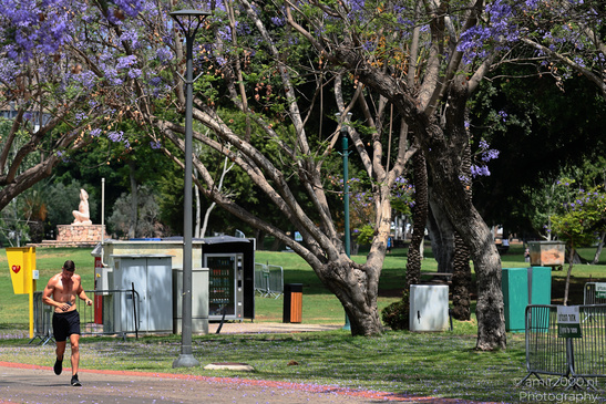 Activities_In_The_Park_Ramat_Gan_Israel_People_Creative_Collection_Photography_Canon_EOS_R5_Mark_II_2026_001.JPG