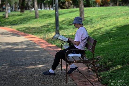 Activities_In_The_Park_Ramat_Gan_Israel_People_Creative_Collection_Photography_Canon_EOS_R5_Mark_II_2026_002.JPG