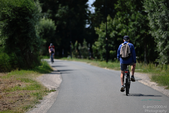 A cyclist with a backpack rides on a paved path through green Middelpolder scenery. image from year 2026 #1