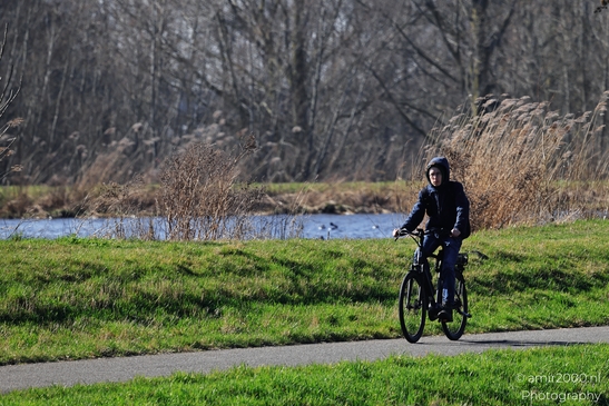 Bicyclist riding along a path with grass and water in the background in Ouderkerk aan de Amstel, - image from year 2026 #001