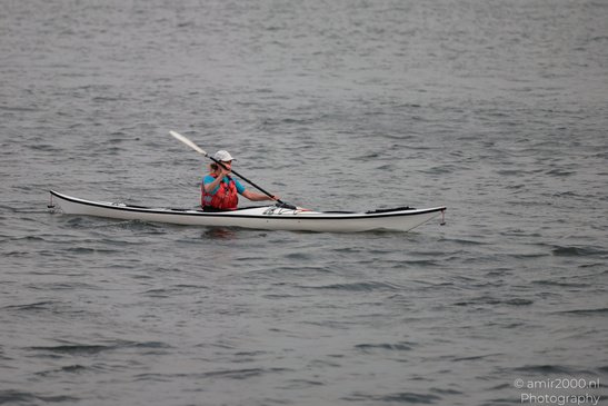 Kayaker_Paddling_On_Water_Amsterdam_Netherlands_People_Creative_Collection_Photography_Canon_EOS_R5_Mark_II_2026_003.JPG