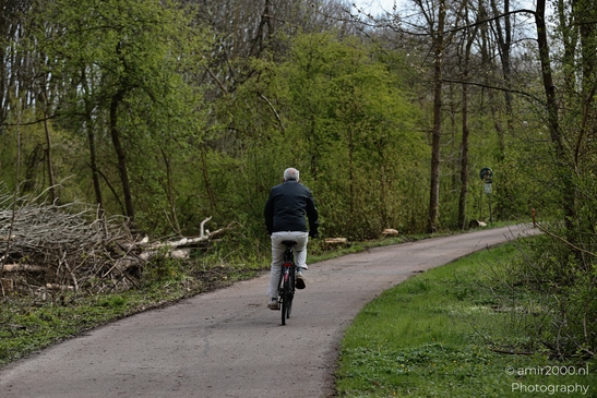 A person rides a bicycle on a paved path surrounded by greenery and trees with some bare - image from year 2026 #001