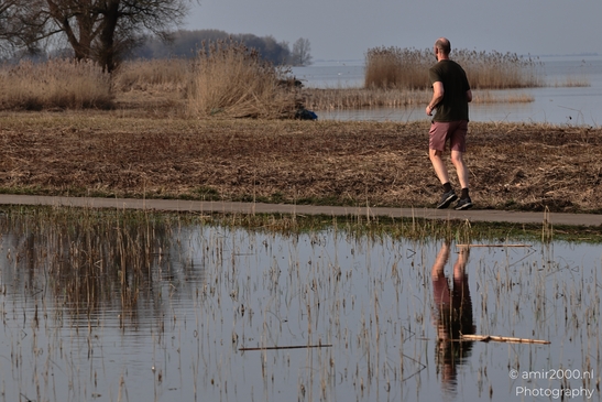 A man appears walking near a body of water with reeds and trees in the background in Naarden, - image from year 2026 #002