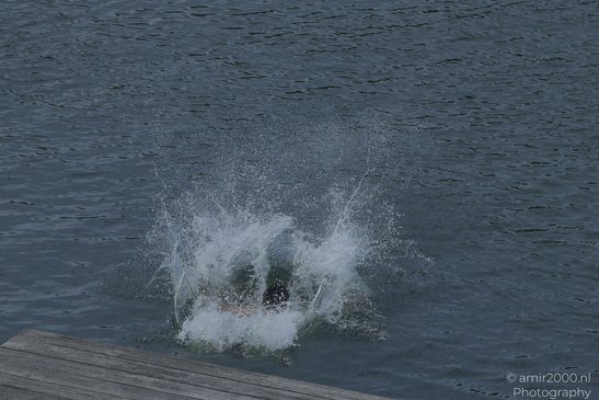 A person is creating a splash in the water, with water droplets and ripples around the splash in - image from year 2026 #004