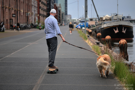 Man_Skateboarding_With_Dog_Amsterdam_Netherlands_People_Creative_Collection_Photography_Canon_EOS_R5_Mark_II_2026_001.JPG
