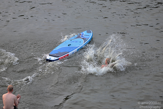 Overhead view of a swimmer in canal water near a blue stand-up paddleboard. image from year 2026 #14