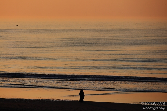 People_On_The_Beach_During_Sunset_Zandvoort_Netherlands_People_Creative_Collection_Photography_Canon_EOS_R5_Mark_II_2026_001.JPG