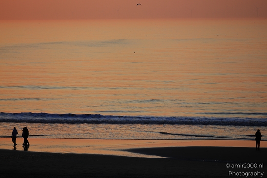 People_On_The_Beach_During_Sunset_Zandvoort_Netherlands_People_Creative_Collection_Photography_Canon_EOS_R5_Mark_II_2026_002.JPG