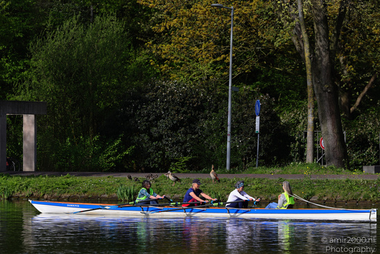 Rowers_On_Boat_Amstelveen_Netherlands_People_Creative_Collection_Photography_Canon_EOS_R5_Mark_II_2026_001.JPG