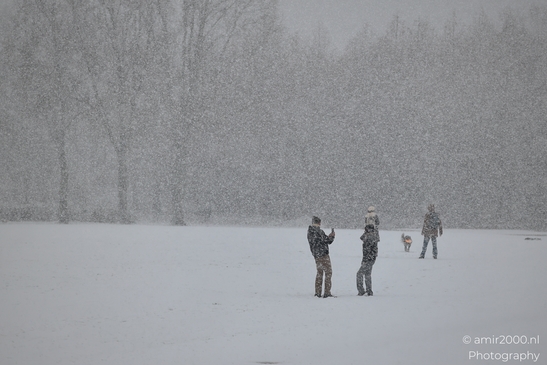 Snowy_Day_In_Westerpark_Amsterdam_Netherlands_People_Creative_Collection_Photography_Canon_EOS_R5_Mark_II_2026_001.JPG