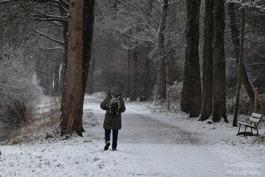 Snowy_Day_In_Westerpark_Amsterdam_Netherlands_People_Creative_Collection_Photography_Canon_EOS_R5_Mark_II_2026_008.JPG