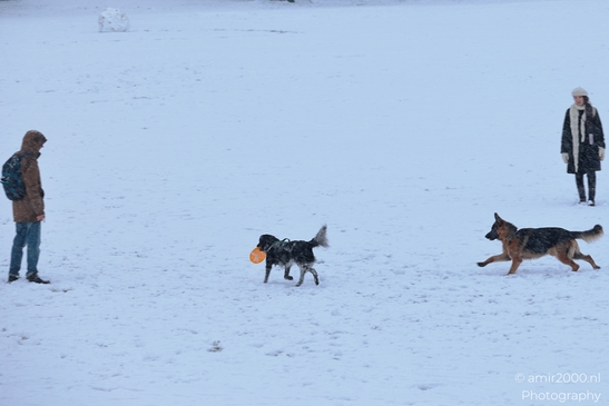Snowy_Day_In_Westerpark_Amsterdam_Netherlands_People_Creative_Collection_Photography_Canon_EOS_R5_Mark_II_2026_010.JPG