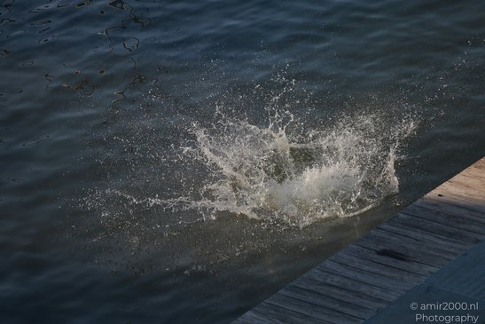 A splash of water on a body of water, with a wooden dock or platform partially in the bottom - image from year 2026 #004