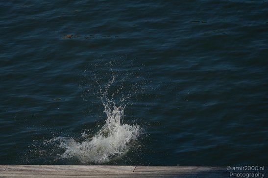 A splash of water in the foreground with ripples and small debris floating on the surface of a - image from year 2026 #004
