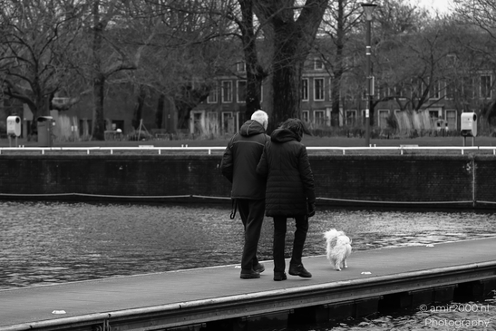 A couple with their small white dog standing on a wooden platform beside calm water near trees. image from year 2026 #1