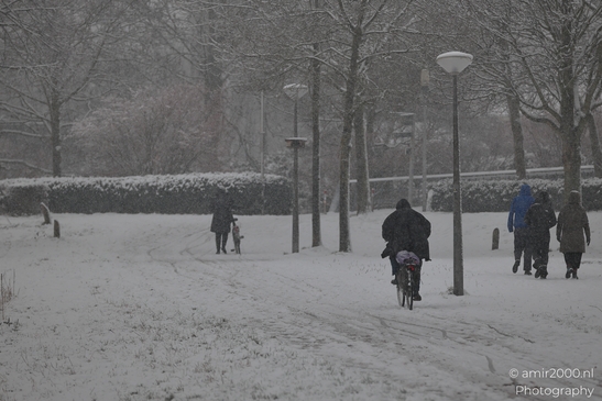 Urban_Cyclists_Navigating_Snowy_Streets_Amsterdam_Netherlands_People_Creative_Collection_Photography_Canon_EOS_R5_Mark_II_2026_010.JPG